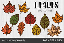 Load image into Gallery viewer, Autumn Leaves SVG