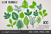 Load image into Gallery viewer, Leaf SVG Bundle