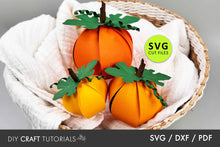Load image into Gallery viewer, 3D Pumpkin SVG