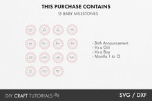 Load image into Gallery viewer, Rattan Flower Baby Milestone SVG