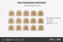 Load image into Gallery viewer, Baby Milestone SVG - Rattan Arch