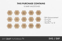Load image into Gallery viewer, Baby Milestone SVG - Rattan Hexagon
