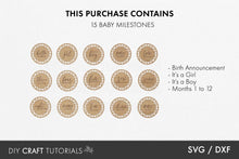 Load image into Gallery viewer, Rattan Boho Baby Milestone SVG