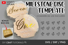 Load image into Gallery viewer, Monthly Milestone Disc SVG - Set 19