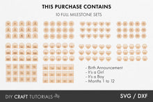 Load image into Gallery viewer, Rattan Baby Milestone SVG Bundle