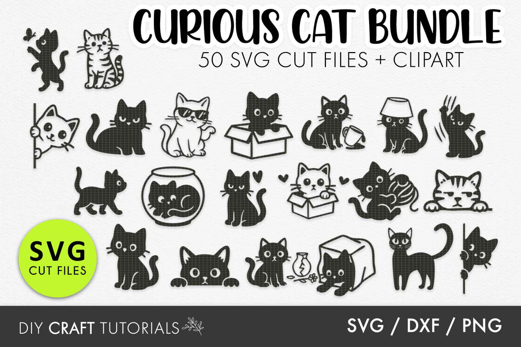 Curious Cat SVG