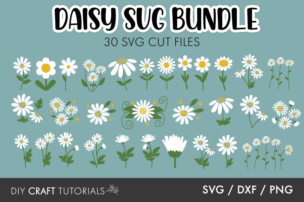 Daisy SVG Bundle