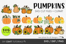 Load image into Gallery viewer, Pumpkin SVG
