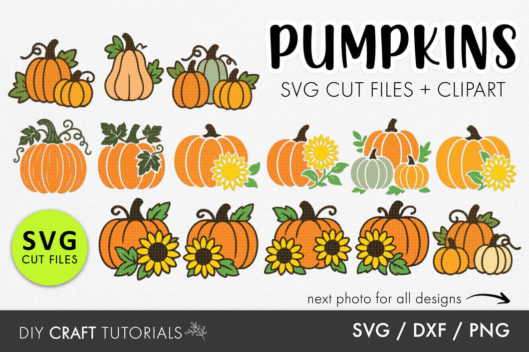 Pumpkin SVG