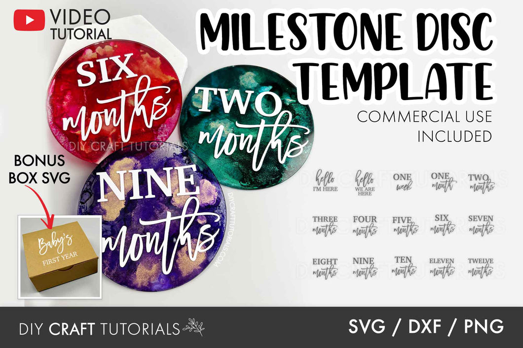Monthly Milestone Disc SVG - Set 13