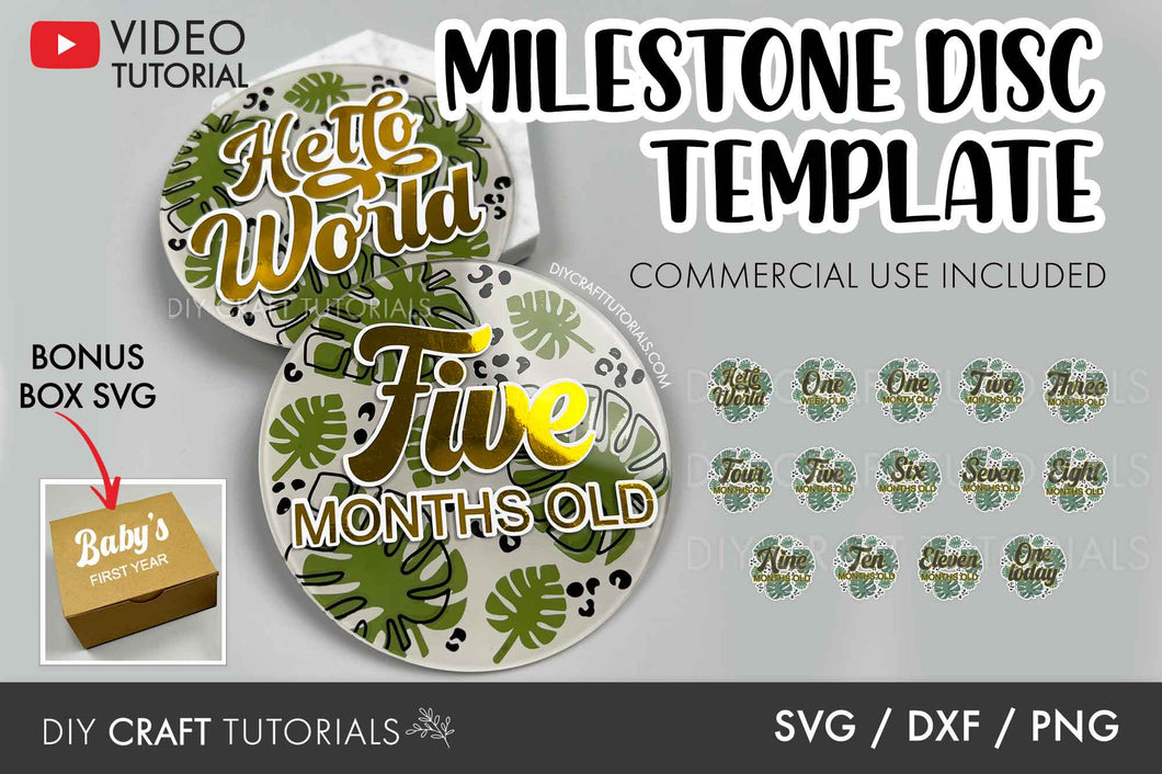 Monstera Milestone Disc SVG - Set 14